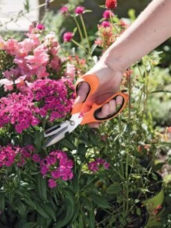Gardener's Multi Purpose Scissors -Gardening Supplies 8608655 19551 tif