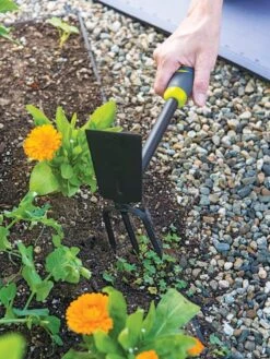 Gardener's 2-in-1 Short Handle Hoe And Cultivator -Gardening Supplies 8608657 19474 tif