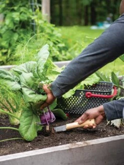 Gardener's Lifetime Hori Hori Knife 9 Gardener's Lifetime Hori Hori Knife -Gardening Supplies 8608888 0422 tif