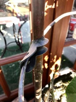 Garden Cane Connects, Set Of 6 -Gardening Supplies 8609019 03V tif