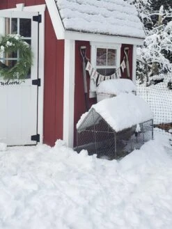 Chicken Wire Crop Coop -Gardening Supplies 8609080 03IN tif