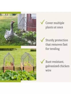 Chicken Wire Crop Coop -Gardening Supplies 8609080 2