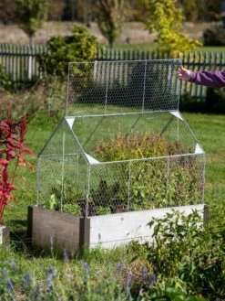 Chicken Wire Crop Coop -Gardening Supplies 8609080 4024