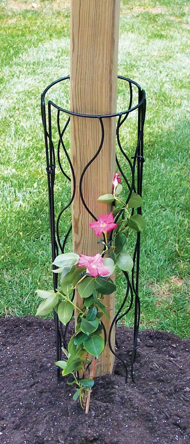 Bosmere Trellis For Mailbox Or Lamp Post 2 Bosmere Trellis For Mailbox Or Lamp Post