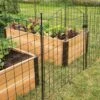 6 Panel Critter Fence With Gate -Gardening Supplies 8609844 8458 6 panel critter fence with gate 3 4