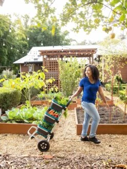 Mod Hod Trolley With Teal Mod Hods 9 Mod Hod Trolley With Teal Mod Hods -Gardening Supplies 8610240 0070 tif