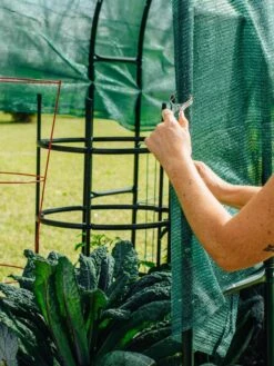 Maxi Garden Hoops With Clips -Gardening Supplies 8610372 368 tif