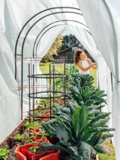 Maxi Garden Hoops With Clips -Gardening Supplies 8610373 377 tif