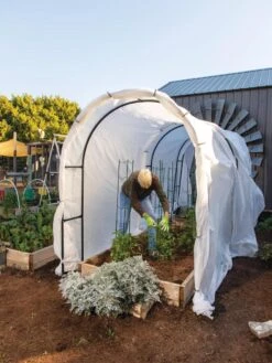 Maxi Garden Hoops With Clips