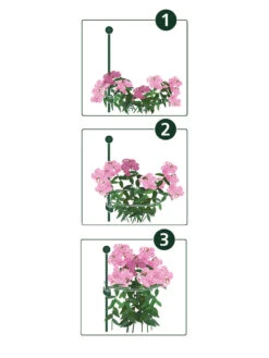 Gardening Supplies -Gardening Supplies 8610383 07v