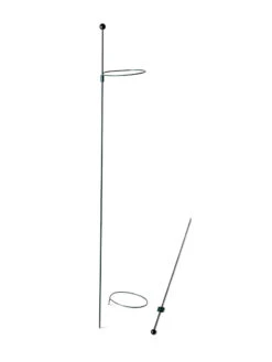 Peacock Mini Plant Support Rings 4", Set Of 2 -Gardening Supplies 8610386 9566