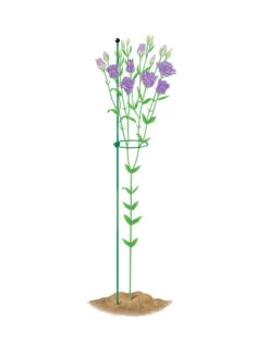 Peacock Mini Plant Support Rings 4", Set Of 2 -Gardening Supplies 8610386 peacock4x36