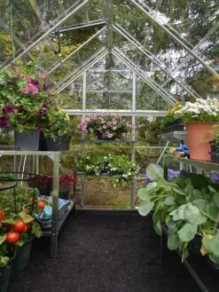 Canopia® By Palram Harmony™ Greenhouse, 6' X 14' -Gardening Supplies 8610563 03V jpg