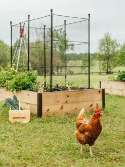 Tall Chicken Wire Critter Fence With Gate 19 Tall Chicken Wire Critter Fence With Gate -Gardening Supplies 8611020 316 tif