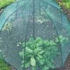 GardenSkill Pop N Crop Plant Umbrella -Gardening Supplies 8611105 01V tif