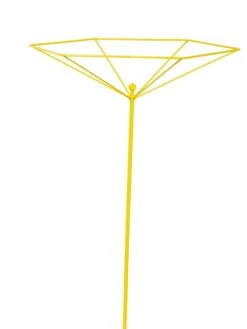 Parasol Plant Supports, Set Of 3 16 Parasol Plant Supports, Set Of 3 -Gardening Supplies 8611129 3844 tif