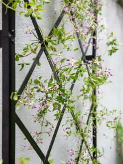 Lattice Gable Wall Trellis -Gardening Supplies 8611130 011