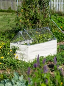 Crop Coop Covers Set -Gardening Supplies 8611698 005 tif