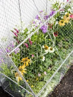 Chicken Wire Flat Back Crop Coop -Gardening Supplies 8611701 153 tif
