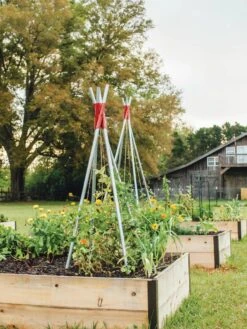 DIY Connector For Teepee Trellis 20 DIY Connector For Teepee Trellis -Gardening Supplies 8611896 71 tif