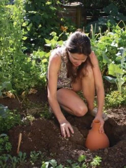 Hydro Max Watering System -Gardening Supplies 8611967 15V tif