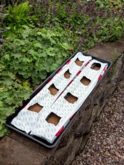 Berry Blend Coir Grow Bag, Set Of 2 -Gardening Supplies 8611968 361 tif