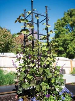 Essex Square Obelisk -Gardening Supplies 8611984 288 tif