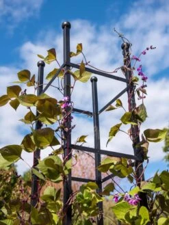 Essex Square Obelisk -Gardening Supplies 8611984 354 tif