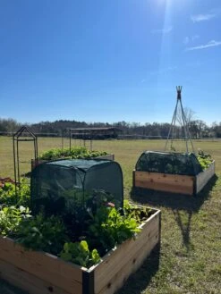 Pest Control Pop-Ups -Gardening Supplies 8611989 05 tif