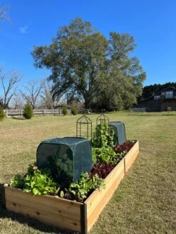 Pest Control Pop-Ups -Gardening Supplies 8611989 08 tif