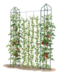 Zenith Trellis -Gardening Supplies 8612036 art tif