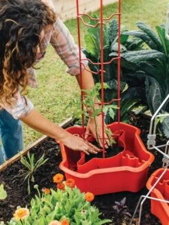 Deluxe Tomato Halos, Set Of 2 -Gardening Supplies 8612045 135 tif