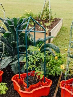 Deluxe Tomato Halos, Set Of 2 -Gardening Supplies 8612045 221 tif