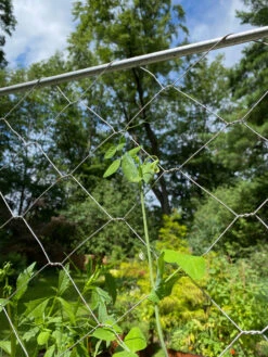 Chicken Wire Pea Trellis -Gardening Supplies 8612718 7311