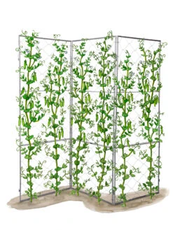 Chicken Wire Pea Trellis -Gardening Supplies 8612718 peatrellis art chicken wire pea trellis