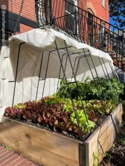 Zenith Garden Hoops, Set Of 4 -Gardening Supplies 8612816 01CUST 1