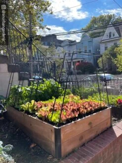 Zenith Garden Hoops, Set Of 4 -Gardening Supplies 8612816 02CUST