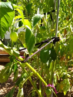 Farmyarn® Multipurpose Garden Tie, 2 Pack -Gardening Supplies 8612948 02v