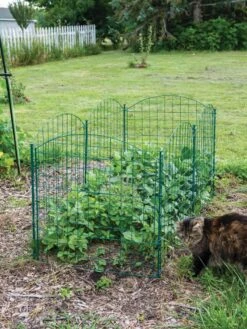 6 Panel Critter Fence With Gate 13 6 Panel Critter Fence With Gate -Gardening Supplies 8612967 2570 tif