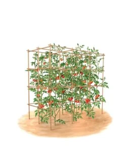 Tomato Six Pack Support -Gardening Supplies 8613143 art flat