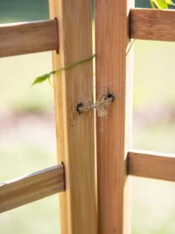 Bamboo Zig-Zag Trellis 24" X 36" -Gardening Supplies 8613151 6483