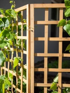 Bamboo Zig-Zag Trellis 24" X 36" -Gardening Supplies 8613151 6491