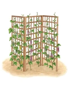 Bamboo Zig-Zag Trellis 24" X 36" -Gardening Supplies 8613151 art flat