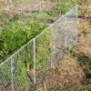 Chicken Wire Critter Fence, 16" High -Gardening Supplies 8613249 0368 chicken wire critter fence 16 inches high
