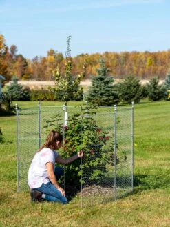 Tall Chicken Wire Critter Fence With Gate 18 Tall Chicken Wire Critter Fence With Gate -Gardening Supplies 8613260 0044