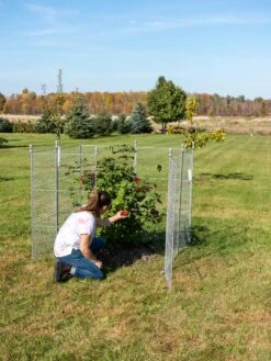 Tall Chicken Wire Critter Fence Extension Panel, Set Of 2 -Gardening Supplies 8613260 0090