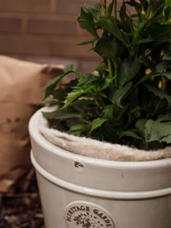 Hortiwool ®, 5 Pad Pack -Gardening Supplies 8613263 17v