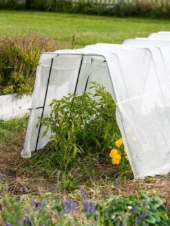 Zenith Garden Hoops, Set Of 4 -Gardening Supplies 8613313 0133 1