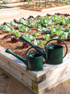 Long Reach Watering Can, Large -Gardening Supplies 8613346 0148 1