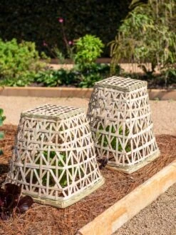 Bamboo Cloche, Set Of 2 -Gardening Supplies 8613351 0150 bamboo cloche set of 2